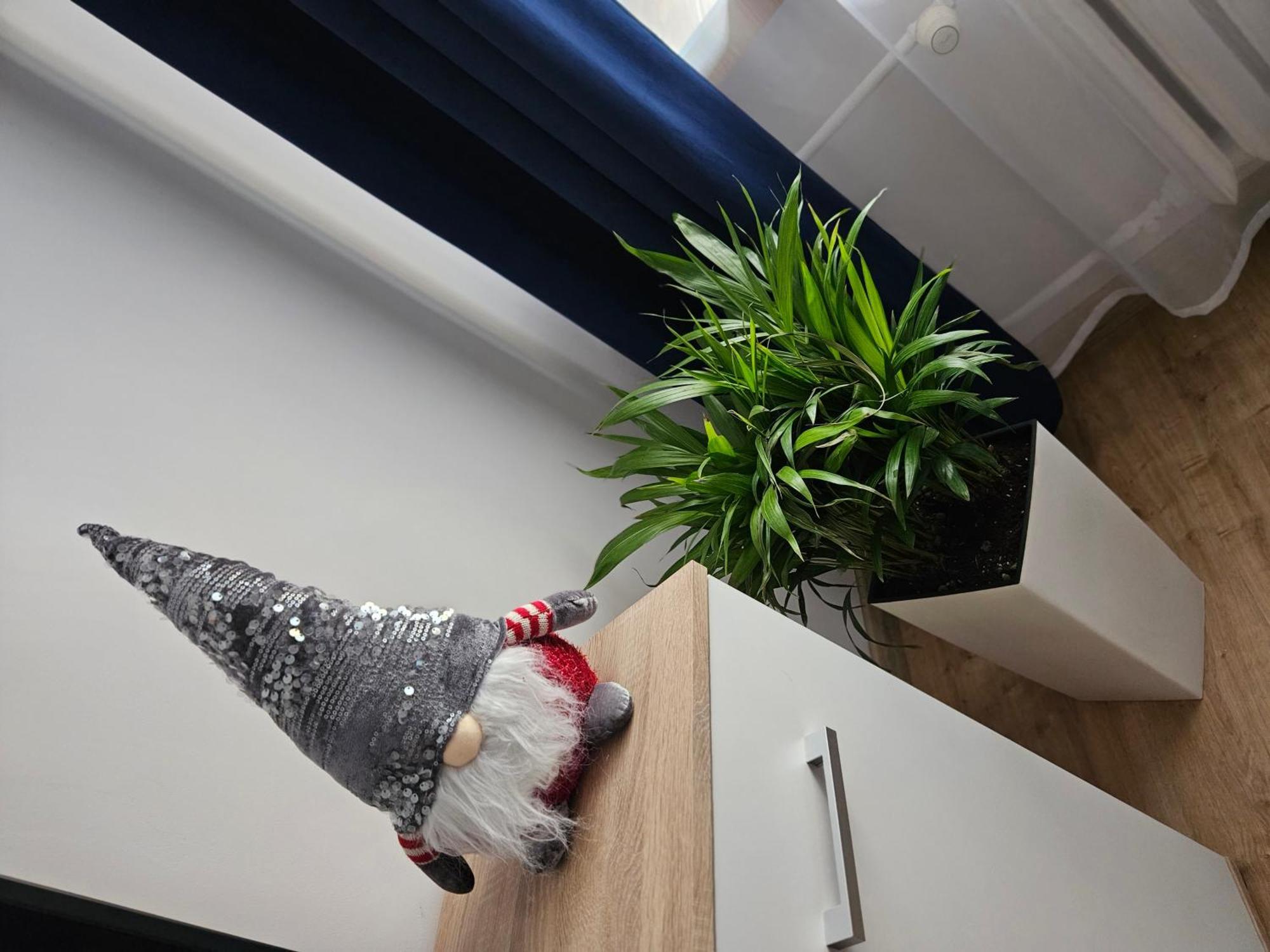 Apartamenty Koktajlove Kielce Quarto foto